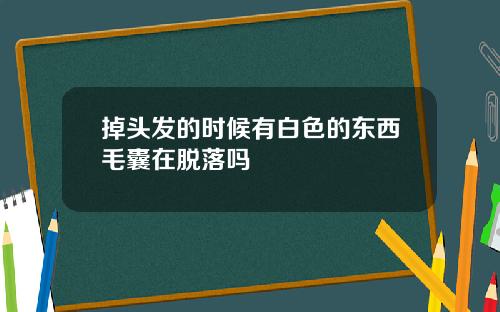 掉头发的时候有白色的东西毛囊在脱落吗