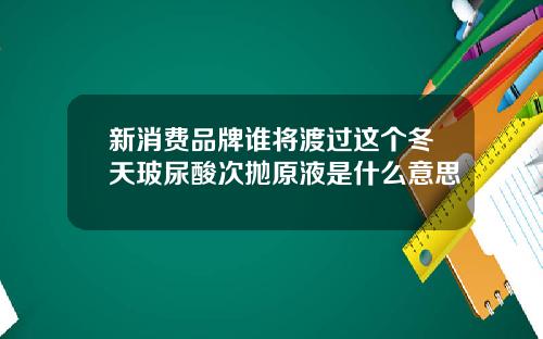 新消费品牌谁将渡过这个冬天玻尿酸次抛原液是什么意思