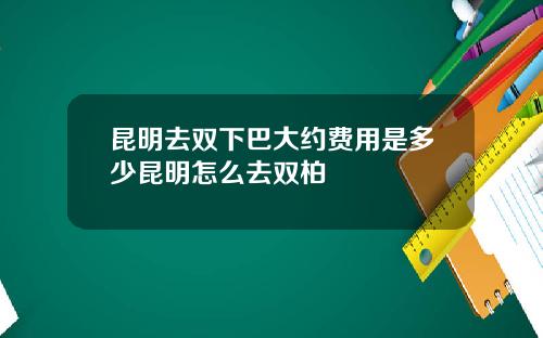 昆明去双下巴大约费用是多少昆明怎么去双柏