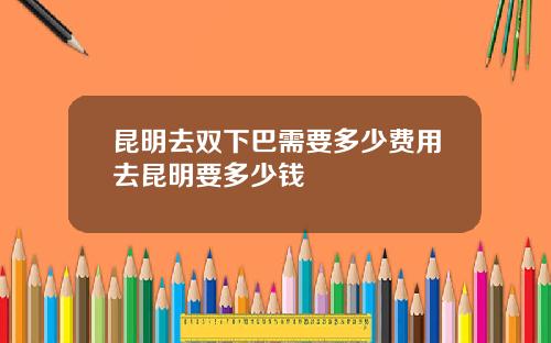 昆明去双下巴需要多少费用去昆明要多少钱
