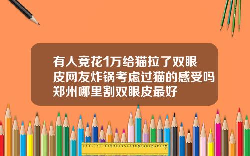 有人竟花1万给猫拉了双眼皮网友炸锅考虑过猫的感受吗郑州哪里割双眼皮最好