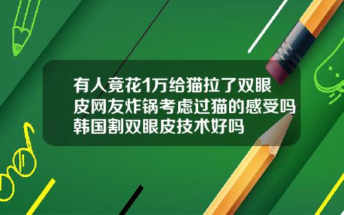 有人竟花1万给猫拉了双眼皮网友炸锅考虑过猫的感受吗韩国割双眼皮技术好吗
