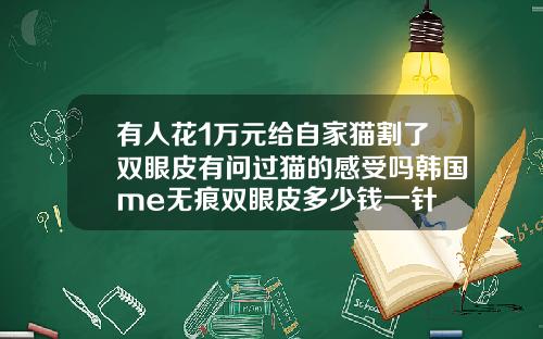 有人花1万元给自家猫割了双眼皮有问过猫的感受吗韩国me无痕双眼皮多少钱一针