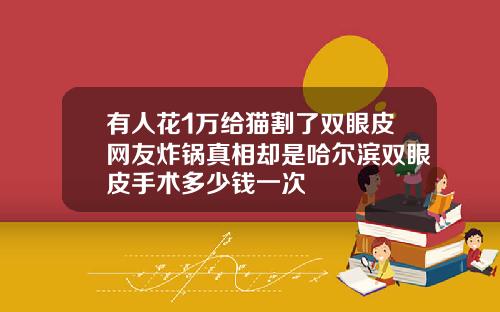 有人花1万给猫割了双眼皮网友炸锅真相却是哈尔滨双眼皮手术多少钱一次