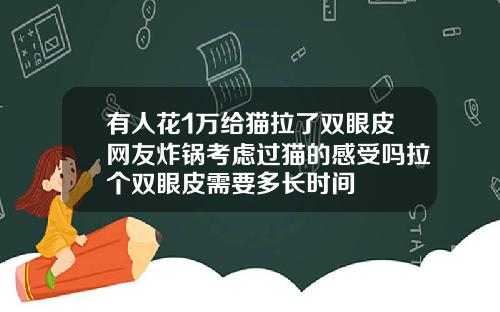 有人花1万给猫拉了双眼皮网友炸锅考虑过猫的感受吗拉个双眼皮需要多长时间