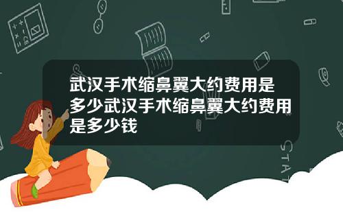 武汉手术缩鼻翼大约费用是多少武汉手术缩鼻翼大约费用是多少钱