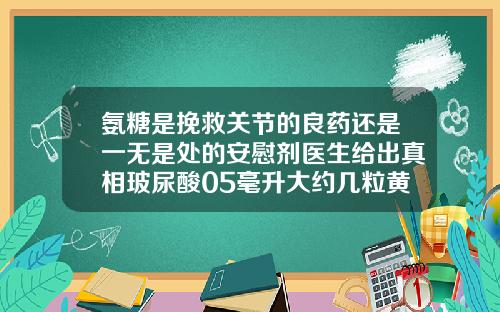 氨糖是挽救关节的良药还是一无是处的安慰剂医生给出真相玻尿酸05毫升大约几粒黄豆大小