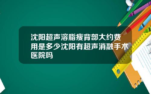 沈阳超声溶脂瘦背部大约费用是多少沈阳有超声消融手术医院吗