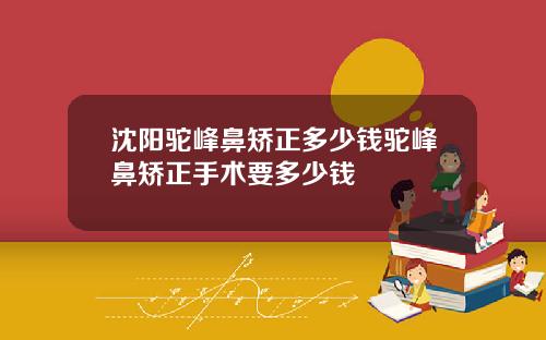 沈阳驼峰鼻矫正多少钱驼峰鼻矫正手术要多少钱