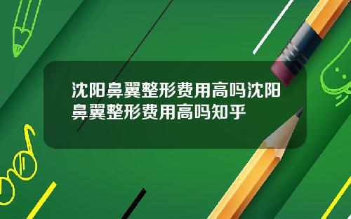 沈阳鼻翼整形费用高吗沈阳鼻翼整形费用高吗知乎
