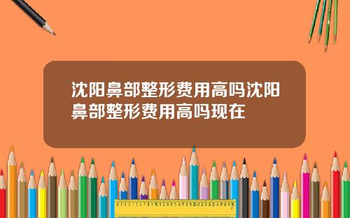 沈阳鼻部整形费用高吗沈阳鼻部整形费用高吗现在