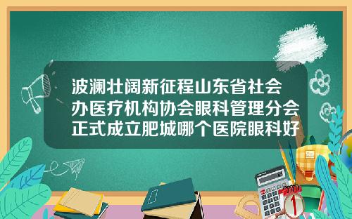 波澜壮阔新征程山东省社会办医疗机构协会眼科管理分会正式成立肥城哪个医院眼科好