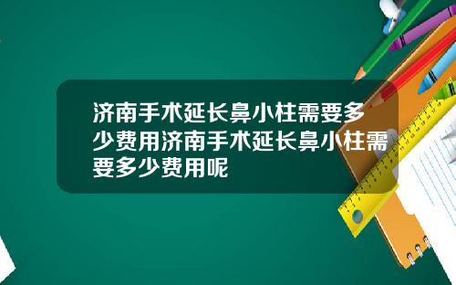 济南手术延长鼻小柱需要多少费用济南手术延长鼻小柱需要多少费用呢