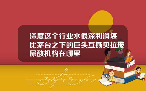 深度这个行业水很深利润堪比茅台之下的巨头互撕贝拉玻尿酸机构在哪里