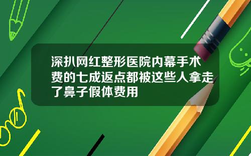 深扒网红整形医院内幕手术费的七成返点都被这些人拿走了鼻子假体费用