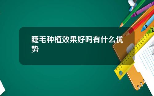 睫毛种植效果好吗有什么优势