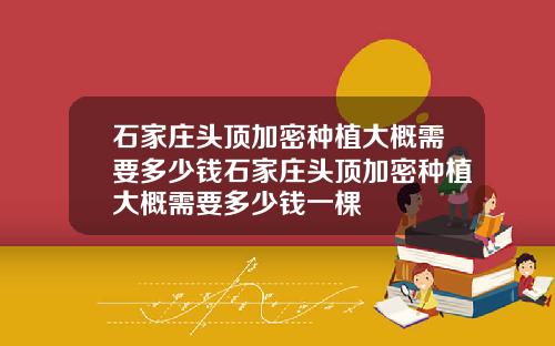 石家庄头顶加密种植大概需要多少钱石家庄头顶加密种植大概需要多少钱一棵