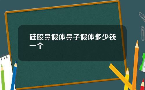 硅胶鼻假体鼻子假体多少钱一个
