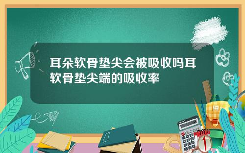 耳朵软骨垫尖会被吸收吗耳软骨垫尖端的吸收率