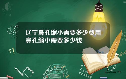 辽宁鼻孔缩小需要多少费用鼻孔缩小需要多少钱