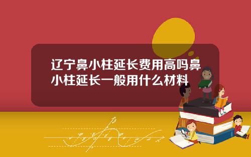 辽宁鼻小柱延长费用高吗鼻小柱延长一般用什么材料