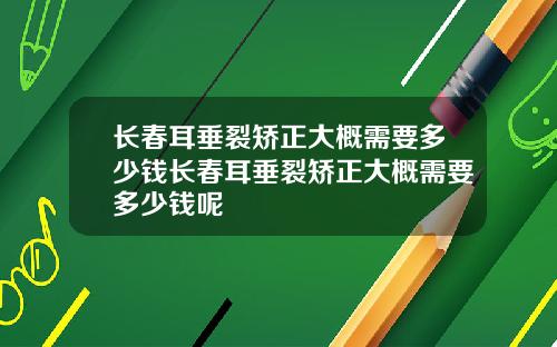 长春耳垂裂矫正大概需要多少钱长春耳垂裂矫正大概需要多少钱呢