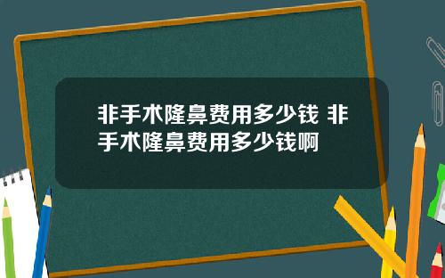 非手术隆鼻费用多少钱 非手术隆鼻费用多少钱啊