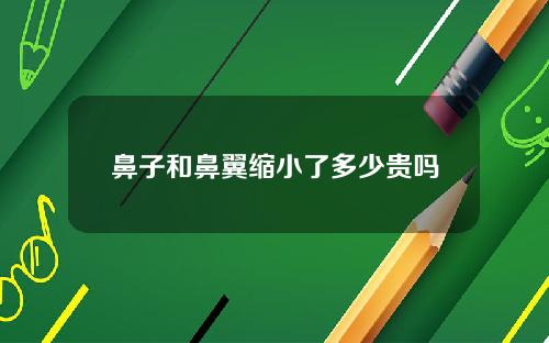 鼻子和鼻翼缩小了多少贵吗