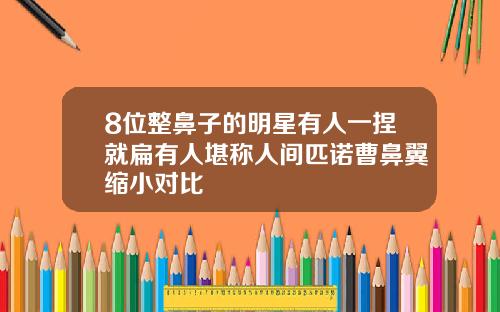 8位整鼻子的明星有人一捏就扁有人堪称人间匹诺曹鼻翼缩小对比