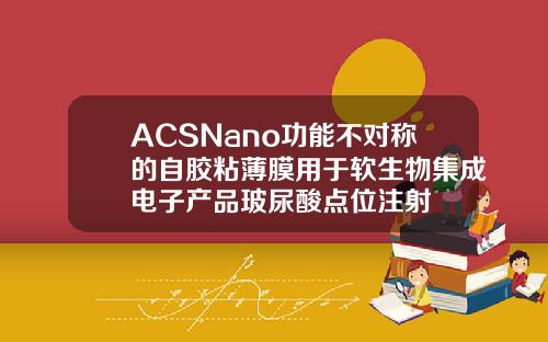 ACSNano功能不对称的自胶粘薄膜用于软生物集成电子产品玻尿酸点位注射