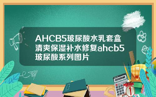 AHCB5玻尿酸水乳套盒清爽保湿补水修复ahcb5玻尿酸系列图片