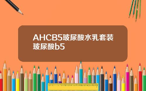 AHCB5玻尿酸水乳套装玻尿酸b5