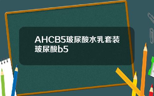AHCB5玻尿酸水乳套装玻尿酸b5