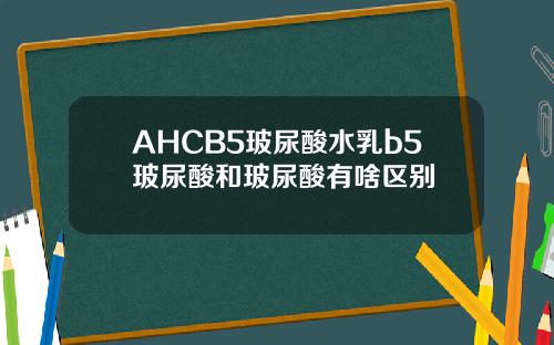AHCB5玻尿酸水乳b5玻尿酸和玻尿酸有啥区别