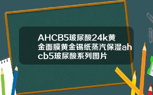 AHCB5玻尿酸24k黄金面膜黄金锡纸蒸汽保湿ahcb5玻尿酸系列图片
