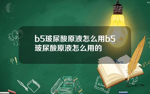 b5玻尿酸原液怎么用b5玻尿酸原液怎么用的