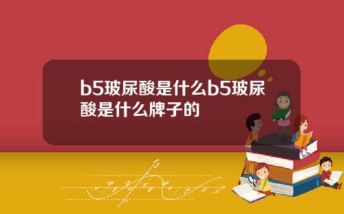 b5玻尿酸是什么b5玻尿酸是什么牌子的