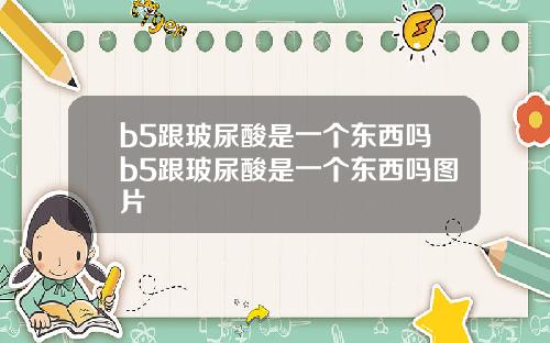 b5跟玻尿酸是一个东西吗b5跟玻尿酸是一个东西吗图片
