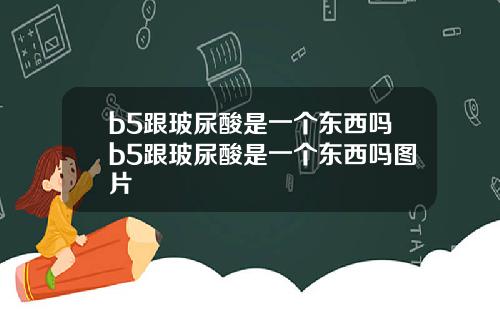 b5跟玻尿酸是一个东西吗b5跟玻尿酸是一个东西吗图片