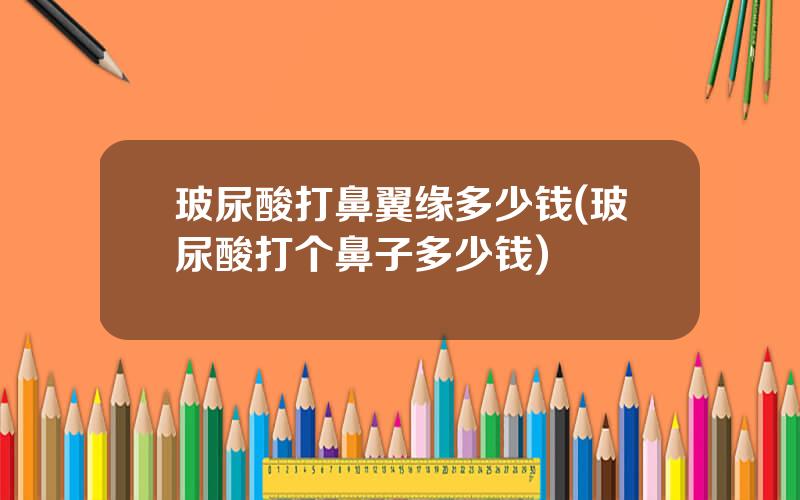 玻尿酸打鼻翼缘多少钱(玻尿酸打个鼻子多少钱)