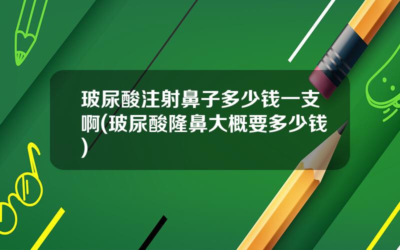 玻尿酸注射鼻子多少钱一支啊(玻尿酸隆鼻大概要多少钱)
